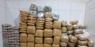 Apreensão de mais de 130 kg de maconha destaca eficiência da atuação integrada das polícias