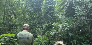 PF, PMRO e IBAMA combatem crimes ambientais em Rondônia