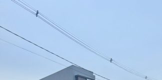 PF deflagra operação contra tráfico interestadual de drogas por meio de aeronaves