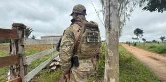 PF, PM/RO, IBAMA e FUNAI realizam operação contra garimpo e extração ilegal de madeira em Rondônia