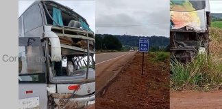 Ônibus da Eucatur sai da pista na BR-364 após desvio para evitar colisão