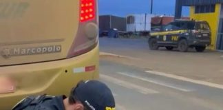 PRF apreende mais de 10 kg de skunk em ônibus interestadual na BR-364, em Vilhena