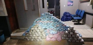 Polícia Militar apreende 257 quilos de maconha após troca de tiros na BR-429, em São Miguel do Guaporé