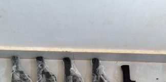 PRF apreende 14 revólveres calibre .38 em ônibus na BR-364, em Rondônia