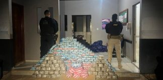 Polícia Rodoviária Federal captura mais de 276 kg de entorpecentes em Rondônia