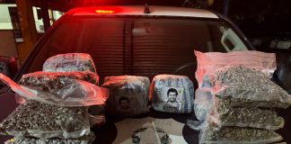 PRF apreende mais de 10 kg de skunk e detém menores na BR-425 em Rondônia