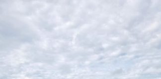 Operação Fronteira Viva combate crimes ambientais e prende suspeitos em Rondônia