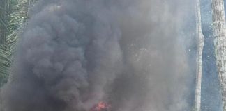 PF, Funai, Ibama e EB combatem crimes ambientais em Rondônia