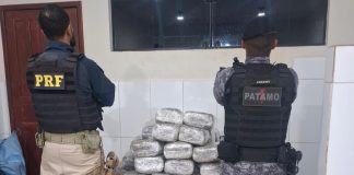 Ação integrada apreende mais de 183 quilos de skunk durante operação em Cacoal