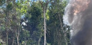 PF e ICMBio deflagram Operação Caraíba contra garimpo ilegal no Parque Nacional Mapinguari
