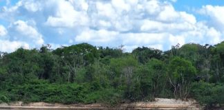 Corpo da última vítima é localizado na Prainha do Cipó e Bombeiros encerram buscas em Ariquemes