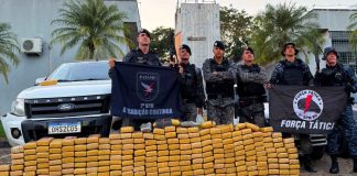 Operação integrada apreende mais de 276 quilos de drogas e prende quatro suspeitos em Ji-Paraná