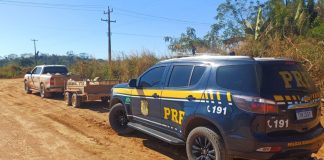PRF em Rondônia apreende quase 2,5 toneladas de cassiterita em Ariquemes/RO