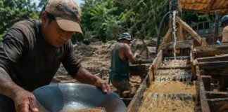 MPF aciona ANM por falhas que facilitariam lavagem de ouro ilegal na Amazônia