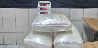 Polícia Federal prende mulher com 7 kg de skunk no Aeroporto de Porto Velho