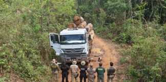 PF deflagra operação contra extração ilegal de madeira e minério em terras indígenas de Rondônia