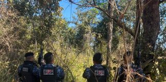 Força Tática apreende grande quantidade de maconha e adolescente é conduzido por ato infracional em Porto Velho