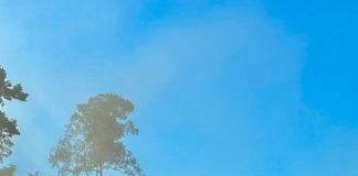 Operação Caraíba IV desativa garimpos ilegais e causa prejuízo de R$ 1,4 milhão ao crime ambiental em Rondônia e Amazonas