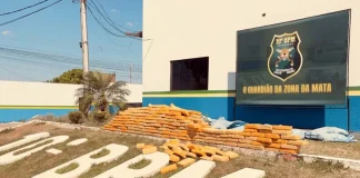 Grande apreensão de drogas na RO-383 termina com motorista preso em Rolim de Moura