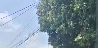 Três pessoas são conduzidas após ação da Força Tática com apreensão de drogas em Ariquemes