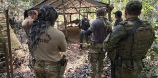 PF combate extração ilegal de madeira em terra indígena de Rondônia