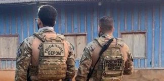 PF deflagra operação contra extração ilegal de madeira em terra indígena de Guajará-Mirim