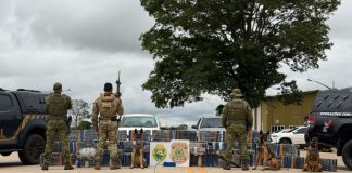 Polícia Federal e BPFRON apreendem mais de meia tonelada de maconha durante operação no Paraná