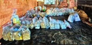 POLÍCIA CIVIL DE RONDÔNIA INCINERA QUASE UMA TONELADA DE DROGAS APREENDIDAS EM OPERAÇÕES