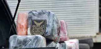 PF prende homem por tráfico interestadual de drogas em Porto Velho