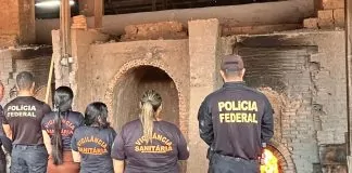 PF realiza incineração de entorpecentes apreendidos em Guajará-Mirim/RO