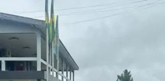 Operação Protetor das Divisas e Fronteiras resulta na apreensão de mais de 5 quilos de drogas em Guajará-Mirim