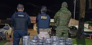 PRF apreende 172 kg de skunk durante ação integrada na BR-429 em São Miguel do Guaporé