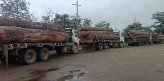 Mais de 100 m³ de madeira ilegal são apreendidos durante operação na BR-364, em Porto Velho