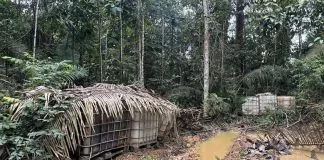 PF e IBAMA destroem maquinário e acampamentos em operação contra garimpo ilegal na Terra Indígena 7 de Setembro