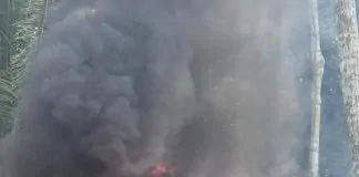 PF, Funai, Ibama e EB combatem crimes ambientais em Rondônia