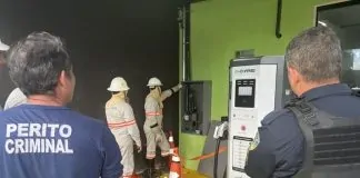 Ponto de recarga de veículos elétricos é flagrado com gato em Porto Velho