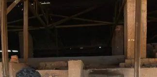 Polícia Federal incinera aproximadamente 900 kg de drogas em Guajará-Mirim
