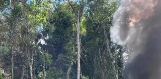 PF e ICMBio deflagram Operação Caraíba contra garimpo ilegal no Parque Nacional Mapinguari