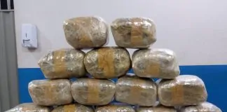 PM apreende mais de 15 quilos de maconha em ônibus interestadual no terminal rodoviário de Vilhena