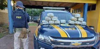 Polícia Rodoviária Federal em Rondônia apreende 15 kg de skunk no município de Porto Velho