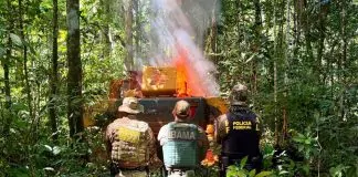 PF e forças parceiras realizam ação contra garimpo e exploração ilegal de madeira em terras indígenas de Rondônia