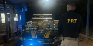 PRF apreende mais de 61 kg de drogas transportadas em táxi na BR-425, em Guajará-Mirim