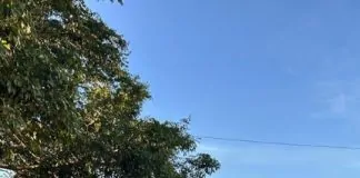 PF deflagra operação contra grupo investigado por tráfico interestadual de drogas