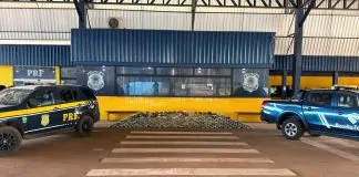 Ação conjunta entre PRF em Rondônia e Receita Federal resulta na apreensão de mais de 460 kg drogas em Vilhena