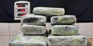Polícia Federal prende mulher com 13 kg de skunk no Aeroporto Internacional de Porto Velho