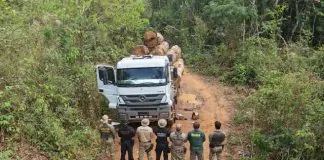 PF deflagra operação contra extração ilegal de madeira e minério em terras indígenas de Rondônia