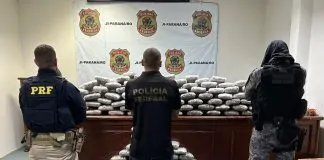 Operação integrada apreende 166 quilos de maconha em São Miguel do Guaporé