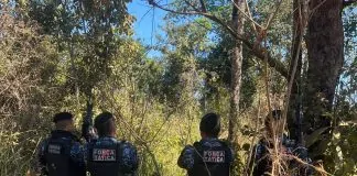 Força Tática apreende grande quantidade de maconha e adolescente é conduzido por ato infracional em Porto Velho