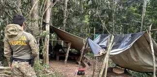 Operação integrada combate extração ilegal de madeira em Terra Indígena Rio Mequéns
