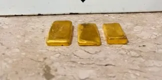 Polícia Federal apreende mais de 1,2 kg de ouro e prende suspeito em flagrante em Guajará-Mirim